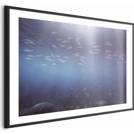 Poster – Fische in der Tiefe (1/4)