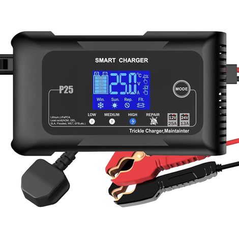 HTRC Chargeur de Batterie Voiture 25A, Chargeur Voiture 12V/24V, Maintien Charge Batterie, Chargeur de Batterie Intelligent pour Batteries au Lithium LiFePO4 Plomb-Acide(AGM, Gel, MF, EFB, SLA, Wet) (1/5)