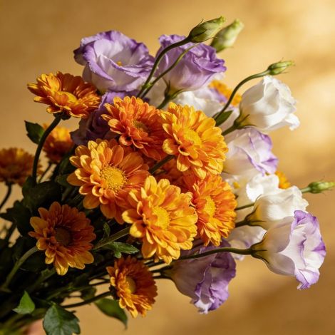 Kit de Graines – Calendula + Lisianthus Double – 500 Calendula + 500 Lisianthus – Jardin Balcon (1/5)