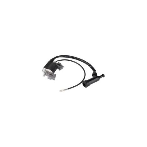 Bobine d'Allumage pour Moteur GX110 GX140 GX120 GX160 GX200 - Compatible avec Motoculteur (1/4)