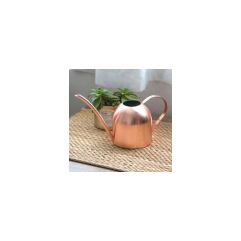 Gießkanne aus Edelstahl, Metallgießkanne für Zimmerpflanzen, Gießkanne mit langer Öffnung und Ausguss, 500 ml, für den Außenbereich - Crezuo