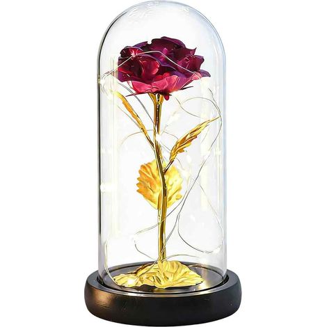 Rose Eternelle - Cloche en Verre et PVC - Éclairage LED Intégré - Décoration Intérieure - 1 Pièce (1/5)