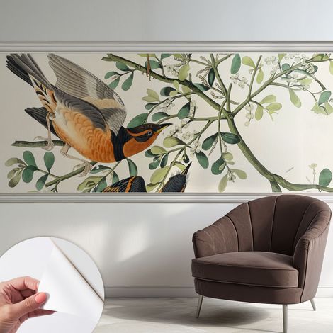 Selbstklebend Tapete - abwaschbar - Raumgestaltung Schlafzimmer Wohnzimmer Tapete Bunte Vögel 250x104 cm (1/5)