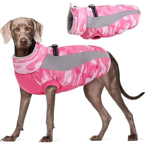 Hundejacke wasserdicht isoliert 3XL