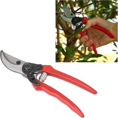 Sécateur - Acier Au Manganèse 65 - 25 Cm - Ergonomique - 1 Pièce (1/4)