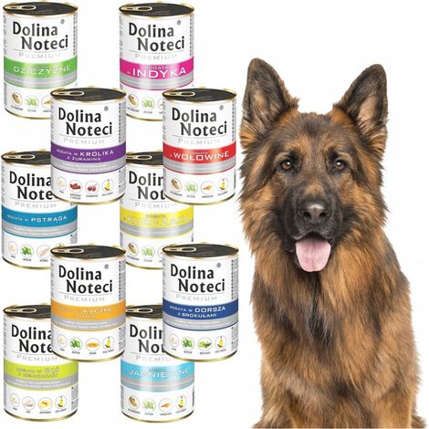 DOLINA NOTECI Premium Nassfutter für Hunde, Geschmacksmischung, 10 x 400 g, getreidefrei