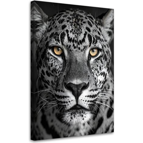 Tabelau sur Toile, Jaguar animaux nature noir et blanc,20x30 (1/4)