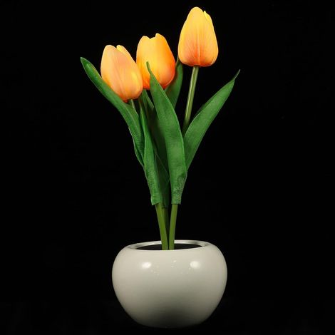 Veilleuse Tulipe Lampe de Nuit Ambiance Romantique 3W (1/5)