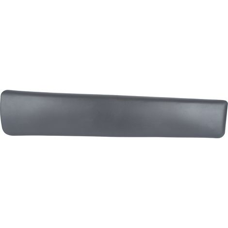 Moldura de puerta delantera derecha Renault Trafic II 01-13