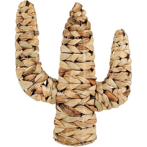 Cactus rotin naturel (1/3)