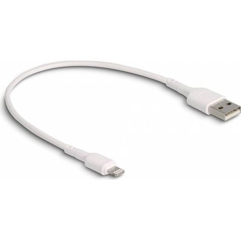Delock Câble de charge USB USB 2.0 Connecteur Lightning , USB-A mâle 0.30 m blanc 87866 (1/3)