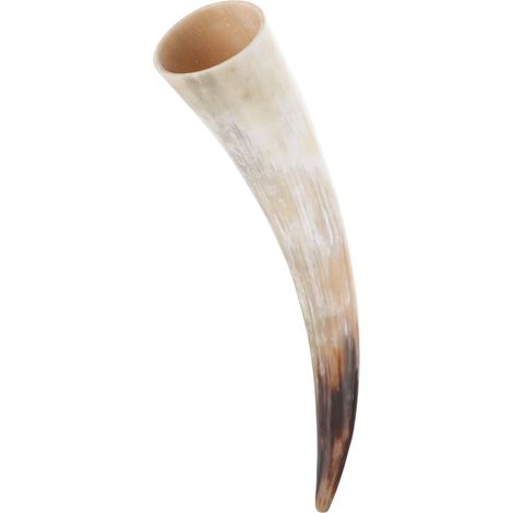 Vase Mural en Corne de Taureau Rétro, Beige, 1 Pièce Polie (1/5)