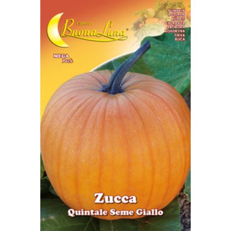 SEMI ORTO ZUCCA QUINTALE- HORTUS SEMENTI- 10,0 pz