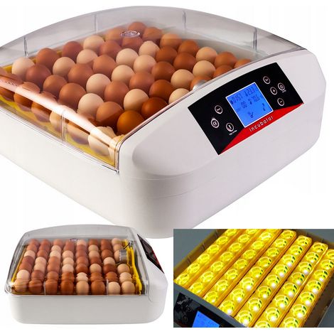 INCUBADORA INCUBADORA PARA HUEVOS, AVES DE CORRAL, P脕JAROS, 56 PIEZAS, TERMOSTATO LED