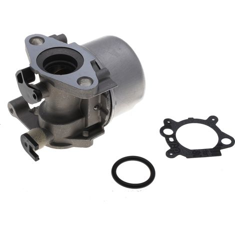 Carburateur compatible pour moteur Briggs Stratton remplace 799871 (1/3)