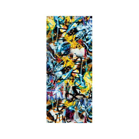 VETRO Glasscheibe GRAFFITI B 515 x H 1200 mm Motivdruck