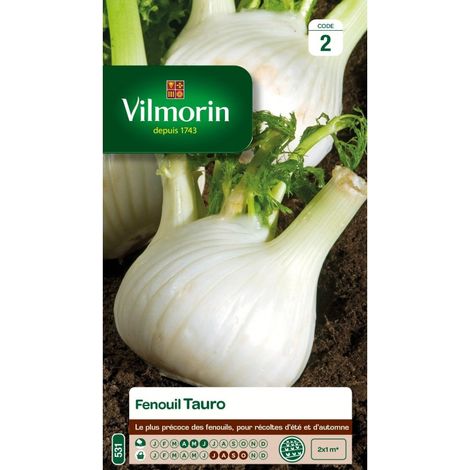 Vilmorin - Fenouil Tauro Hf1 (1/2)