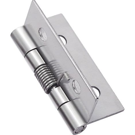 4 pièces charnières à ressort à ouverture fermeture automatique, charnières de porte à ressort en acier inoxydable 304 (1/5)