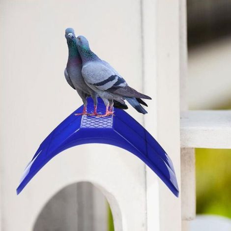 Perchoir à pigeons, surface en bois, perchoirs en plastique, grille, perchoirs à pigeons, paquet de 10 (1/5)