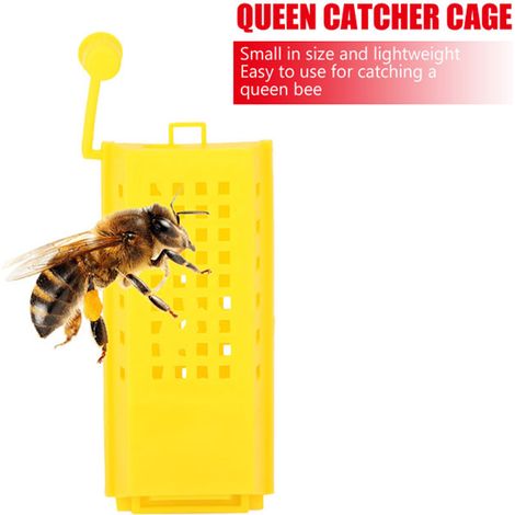 10Cages Plastiques Reine Abeille Transport Capture Outil Apiculteur Ruche Kit Elevage (1/5)