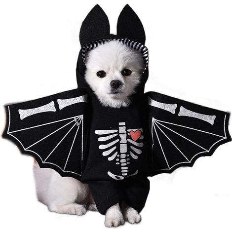 Disfraz de Halloween para perro, disfraz de cosplay, ropa de fiesta para perros medianos (L) (1/5)