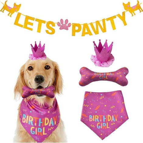 Chapeau Anniversaire Pour Chien - Bandana Festif - Jouet En Forme D Os Avec Sonnette - Kit Fête Pour Chien - 1 Pièce (1/5)
