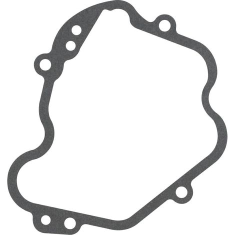 Guarnizione coperchio valvole motore motocoltivaore D440FC LONCIN 120250036-0001