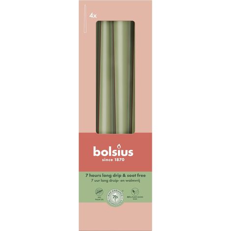 Bolsius Spitzkerzen olive 24,5 cm Ø 2,4 cm 4 Stück
