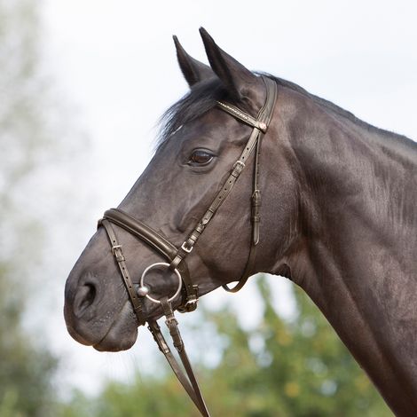 Kieffer Trensenzaum Ultrasoft - braun - Warmblut (1/4)