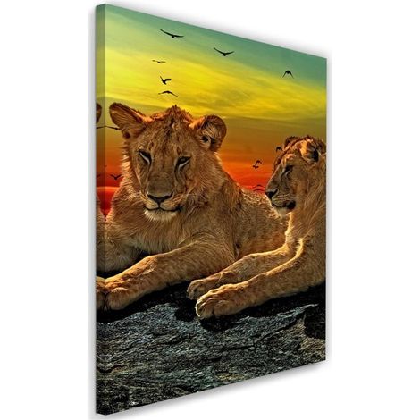 Tableau sur toile Lions animaux Afrique 40x60 (1/5)