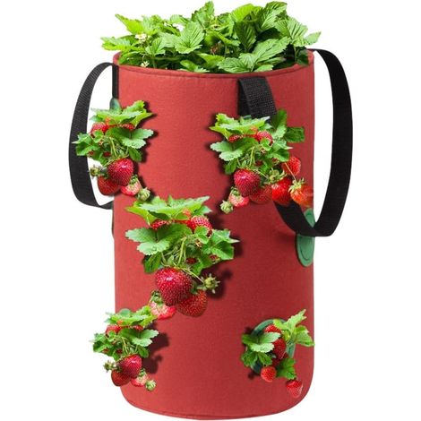 Panier suspendu pour plantes, panier de plantation suspendu pour fraisiers, sac de plantation en feutre à pétales, pot de fleurs épais, fournitures de jardin (Couleur : Rouge) (1/5)