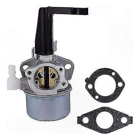Ersatzvergaser für Motorhacken, kompatibel mit den Modellen 696065, 697422, 110402, 110412, 215369 (1/5)