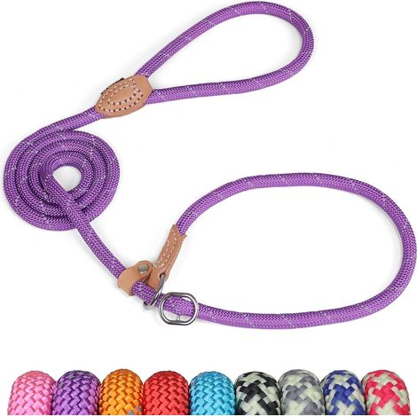 Lasso Dog Lead 150 cm, Sliding Training with Brake, Reflective Choke for Puppies, Small, Medium, Large Dogs (6 mm, Purple) (1/5)