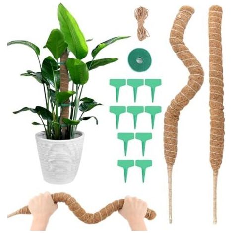 Tuteur Monstera, 2pcs 70cm Tuteur Plante Grimpante avec Accessoires Tuteur Monstera Pliable Support de Plante Tuteur de Coco, Support pour Plante Grimpante pour Plantes de Jardin et Pots (1/5)