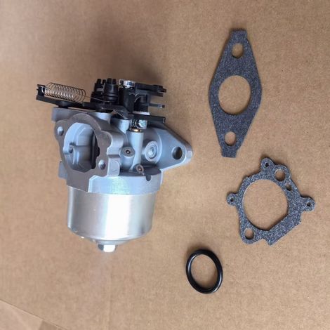Briggs & Stratton 591852/793493/793463 Vergaser mit präziser, schwimmergesteuerter Kraftstoffzufuhr und einfacher Wartung (1/4)