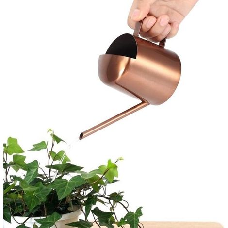 Annaffiatoio piccolo da 300 ml in acciaio inox con beccuccio lungo: perfetto per innaffiare le piante e per l'uso domestico.