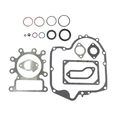 Set di tenute BRIGGS ET STRATTON 697151 796181