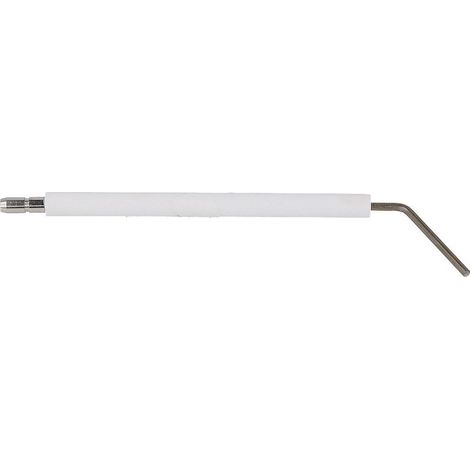 Electrode d'ionisation