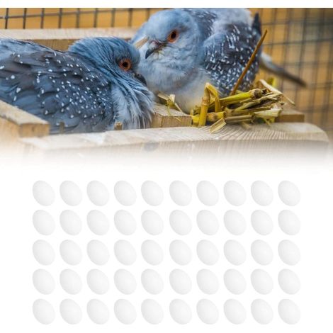Lot de 50 œufs de pigeons factices en plastique - Outil pour la culture de trappes (1/5)