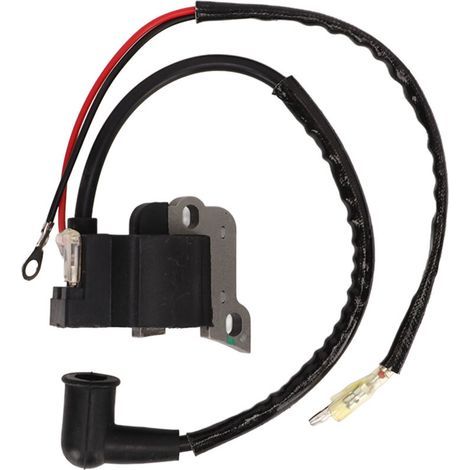 Module d'allumage CDI adapt�� aux moteurs quatre temps de 49 cm3 et aux v��los ��lectriques.