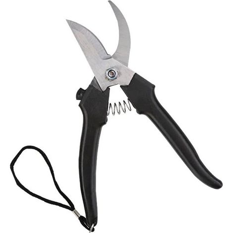 FORBICI POTATURA PROF. INOX cm. 19