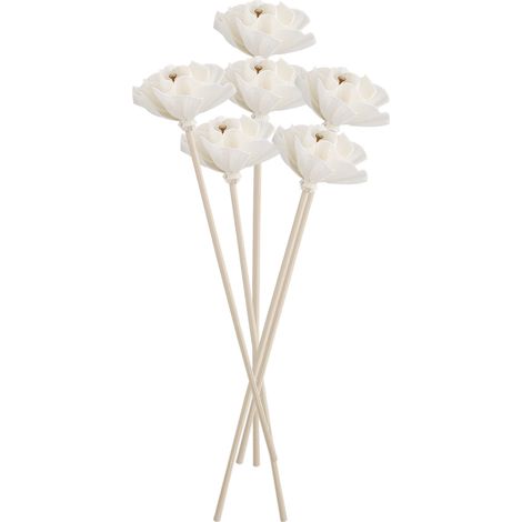 Diffuseurs Naturels à Bâtons 6P Fibre & Bois pour Salon, Bureau, Événements (1/5)