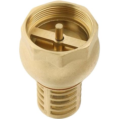 Clapets Anti-Retour en Laiton DN40 avec Panier Filtrant, Clapet Inférieur De Pompe À Eau en Laiton pour Pompes De Puits Profonds, Systèmes De Pompe 1-1/2pouces (1/5)