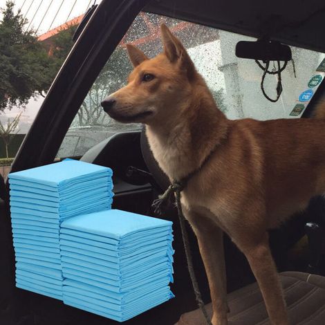 Lot 100 tapis chiots absorbants pour dressage, coussins 45x60cm.