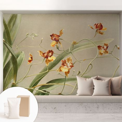 Fototapete Tapete Vliestapete mit Kleber - trendige Wanddeko - Schlafzimmer - Wohnzimmer Klassische Orchideen 208x146 cm (1/5)