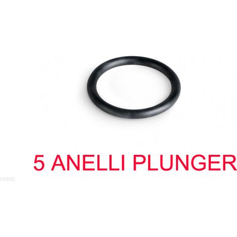 5 ANELLI PER VALVOLA PLUNGER 10335