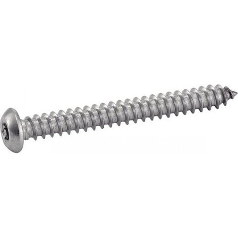 100 Vis à Tôle Tête Bombée Six Lobes Inviolable avec Téton Central 4.2 x 19 mm - TYPE ISO 7380 - Inox A2 - D-Work
