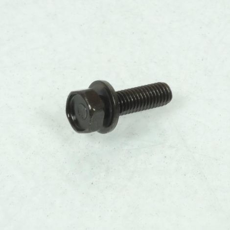 Schraube M6x100 L22mm für Roller Sym 100 Mio 2005 bis 2007 (1/5)