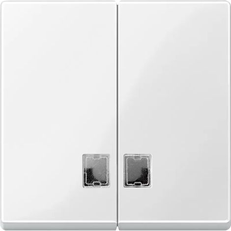 Merten Wippe Symbol Fenster pws für Serienschalter 438519 (1/2)