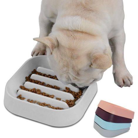 Gamelle à alimentation lente pour chien - Gamelle rayée à alimentation lente pour animaux de compagnie sans risque d'étouffement (1/5)